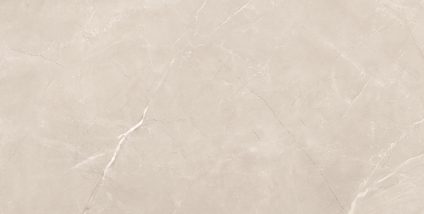 Vitrum Taupe 600х1200
