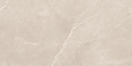 Vitrum Taupe 600х1200