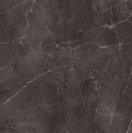 Vitrum Dark Grey 600х600