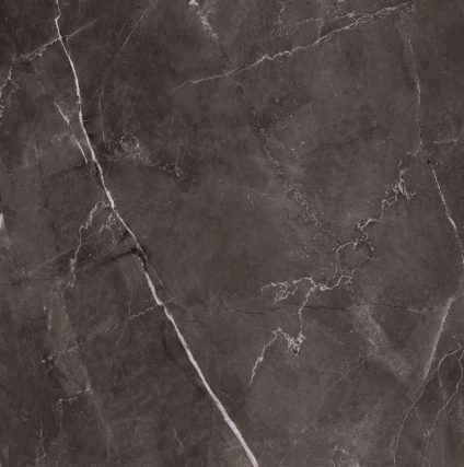 Vitrum Dark Grey 600х600