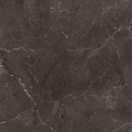 Vitrum Dark Grey 600х600