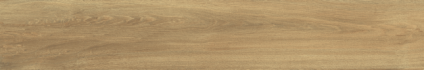 Ajanta Iroko