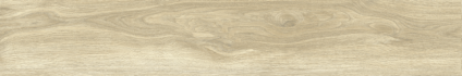 Ajanta Ash