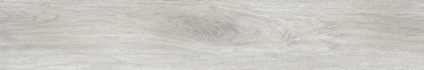 Ajanta Acacia
