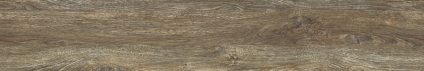 Arbel Bubinga