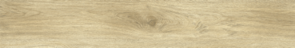Ajanta Oak 