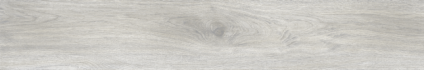 Ajanta Acacia