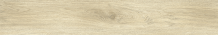 Ajanta Ash