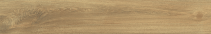Ajanta Iroko