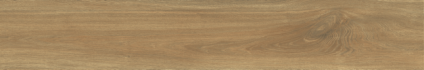 Ajanta Iroko