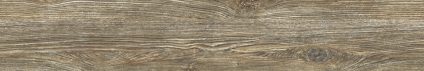 Arbel Bubinga