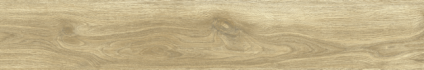 Ajanta Oak 