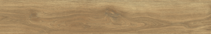Ajanta Iroko