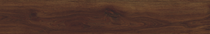 Ajanta Amaranth