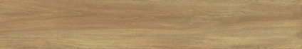 Ajanta Iroko