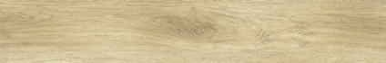 Ajanta Oak 
