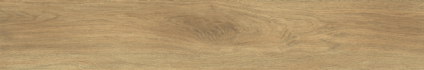 Ajanta Iroko