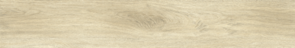 Ajanta Ash