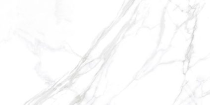 Coliseo Blanco 120x60