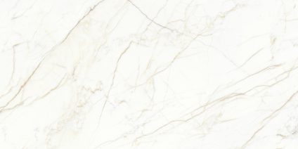 Europa Gold 60x120