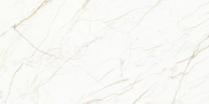Europa Gold 60x120