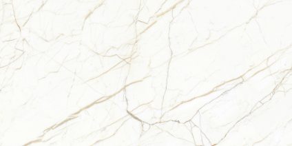 Europa Gold 60x120
