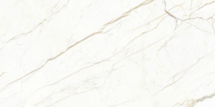 Europa Gold 60x120