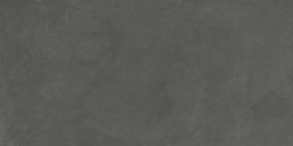 Evolution Gris 600х1200