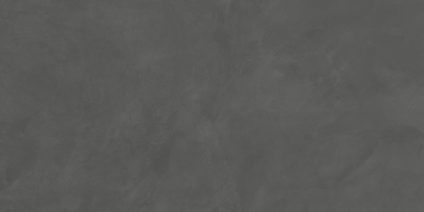 Evolution Gris 600х1200