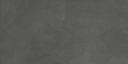 Evolution Gris 600х1200