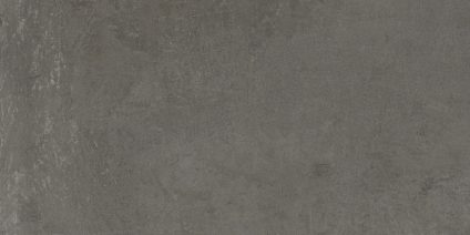 Smart Gris 600х1200