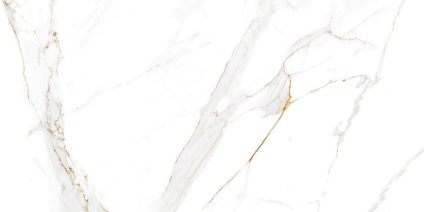 Regal Carrara 120x60