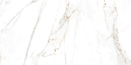Regal Carrara 120x60