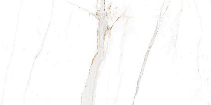 Regal Carrara 120x60