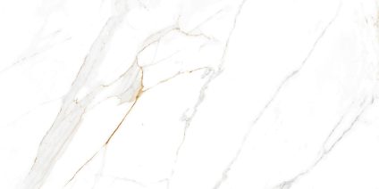 Regal Carrara 120x60