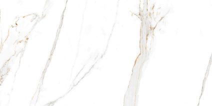 Regal Carrara 120x60