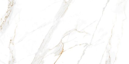 Regal Carrara 120x60