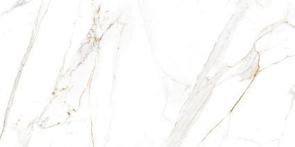 Regal Carrara 120x60
