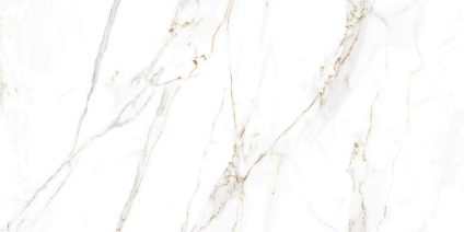 Regal Carrara 120x60