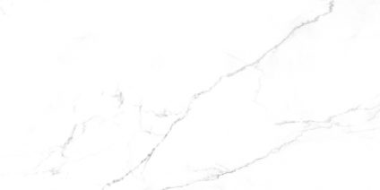 Discovery Blanco 600х1200