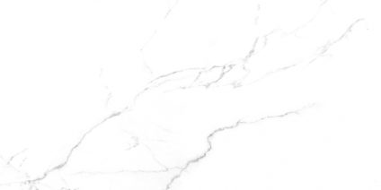 Discovery Blanco 600х1200
