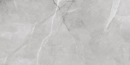 Armani Silver 120x60