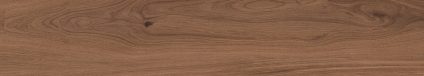 Canarium Brown 