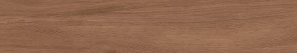 Canarium Brown 