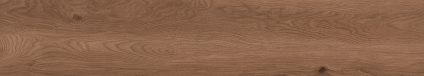 Canarium Brown 