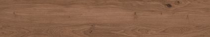 Canarium Brown 