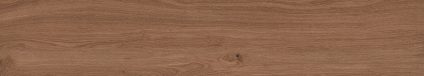 Canarium Brown 