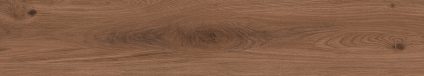 Canarium Brown 