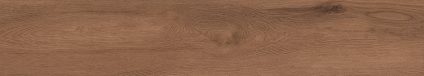 Canarium Brown 