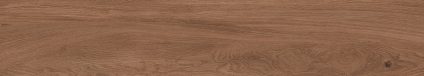 Canarium Brown 